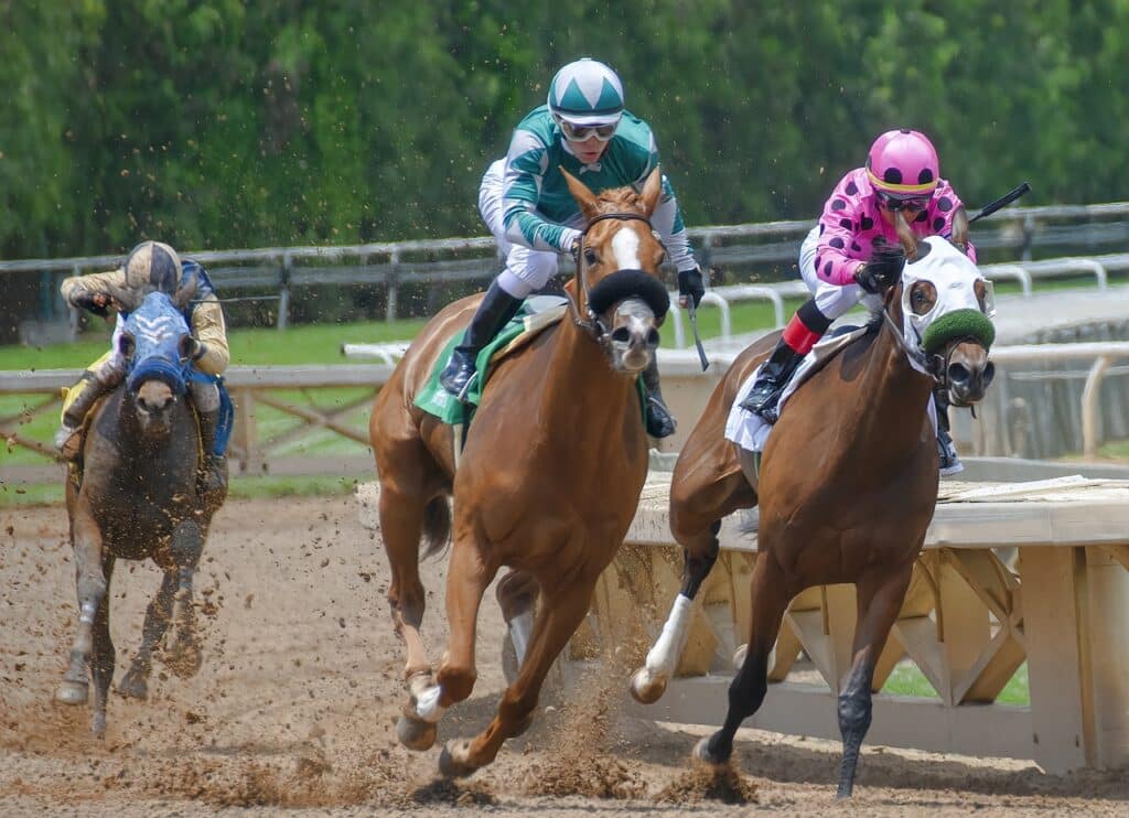 course de chevaux