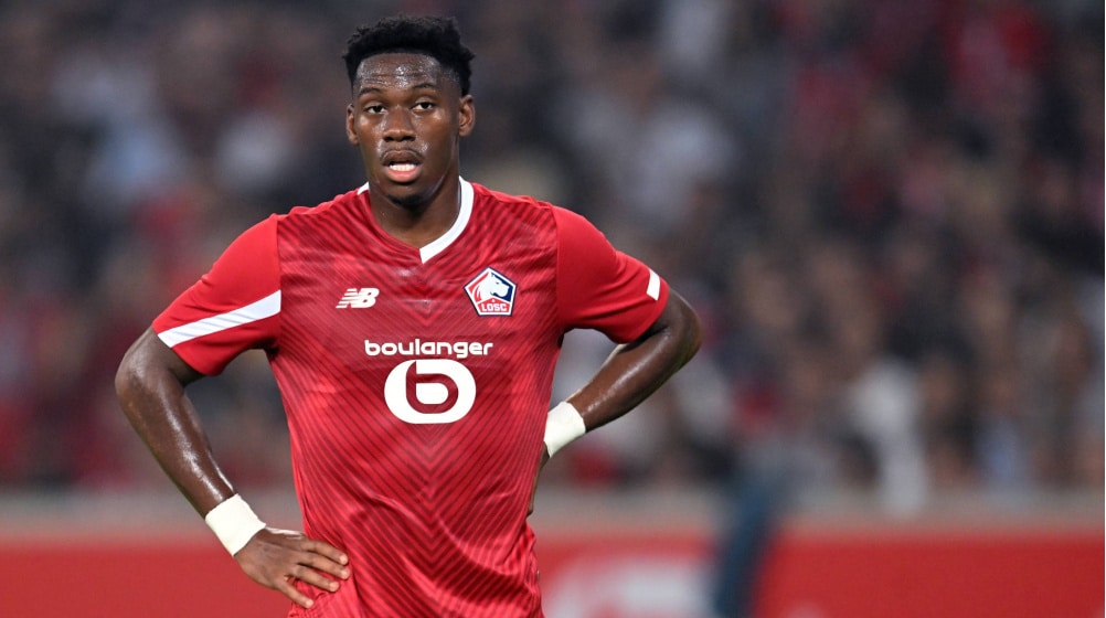 jonathan david a lille